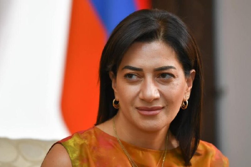 Анна Акопян на мероприятии в Армении