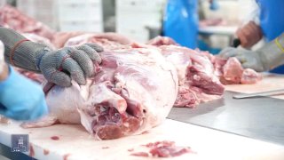 Мясопереработчик «Атенк» запустил новый этап: от производства до экспорта