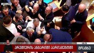 Драка в парламенте Грузии: оппозиция обвинила премьера в подчинении Иванишвили