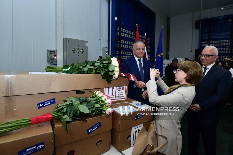 Армения начала экспорт роз в Латвию: первая партия — 5500 цветов