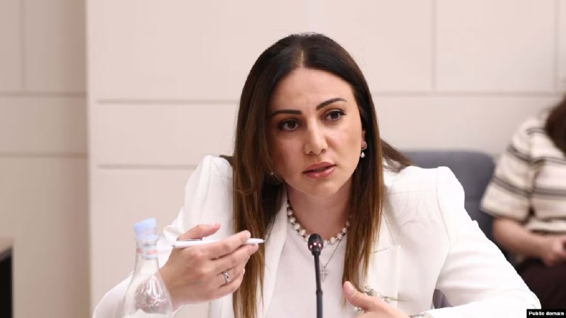 Арусяк Манавазян и Артур Ованнисян выдвинуты на пост главы фракции «Гражданский договор»
