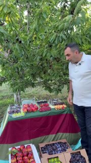 Армянские фрукты впервые экспортированы в ОАЭ: первая партия от компании Araratyan Farm
