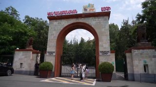 Животные из особняка Царукяна в Ереванском зоопарке проходят ветеринарное обследование