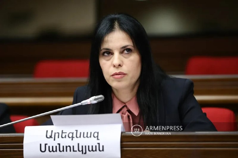 Члена правления партии «Мать Армения» Арегназ Манукян арестовали на два месяца
